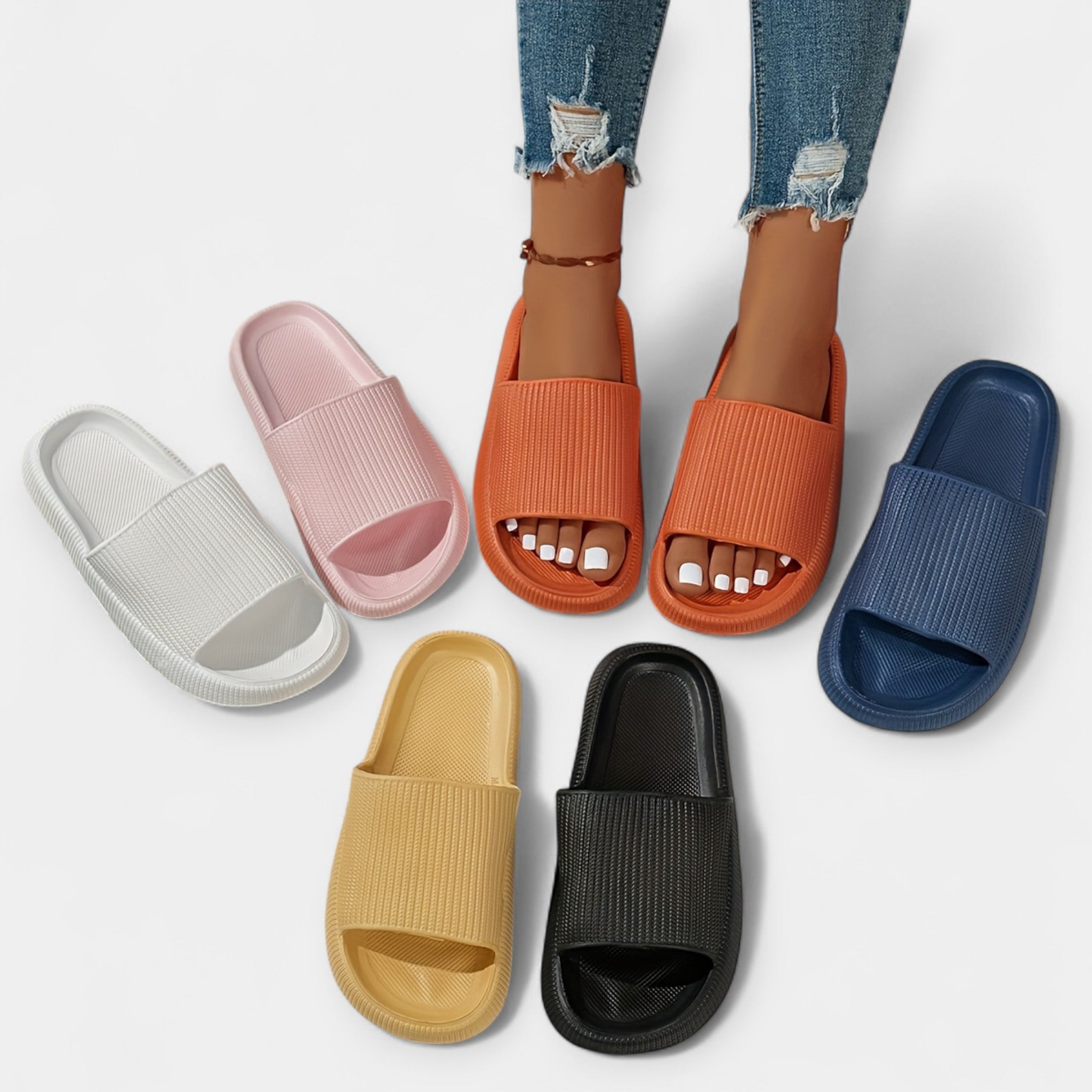 Sussid koju ja randa