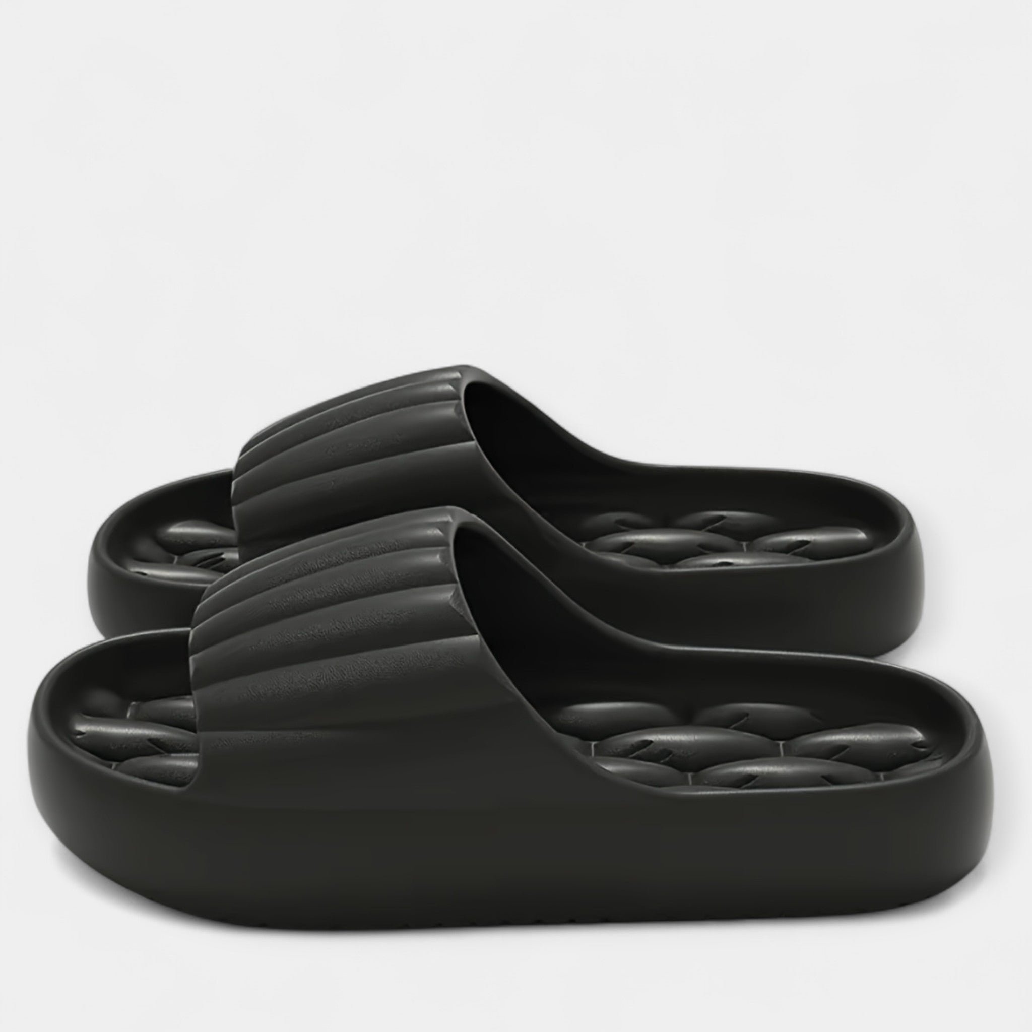 Sussid igaks aastaajaks