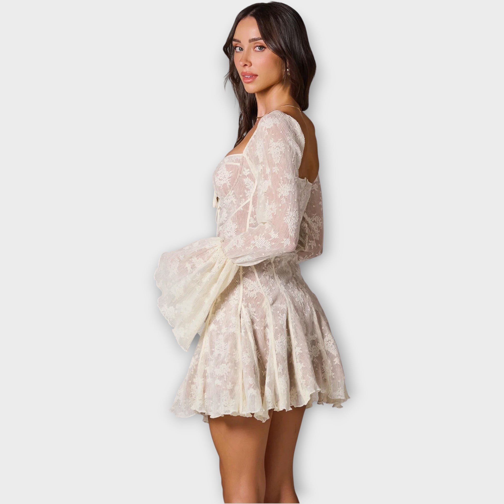 The Romantic Dress with Lace and Sheer Effect